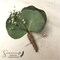DRIED Eucalyptus Boutonnière | Silver Dollar, Seeded, Silver Leaf Eucalyptus | Wedding, Groom, Groom's Men, Best Man | Forever Boutonnière product 3
